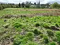 Bulwick Meadows