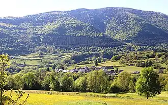 View of Bun