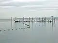 Sustainable fishing. Commercial fishing in the bay has almost vanished, due in part to ecological collapse.