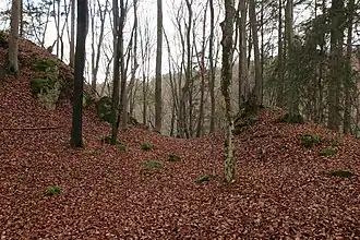The clearest profile of the moat and the advance rampart in the northeast (November&nbsp;2013)