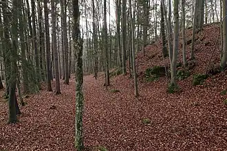 Counterview looking south. Right: the climb to the castle site (November&nbsp;2013)