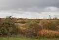 West Thurrock Marshes