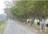 Near sports fields
