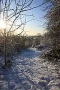 Cherry Wood Community Woodland
