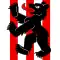 Flag of Bäriswil