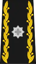 Brigadier (Swiss Army)[9]