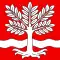 Flag of Oeschenbach