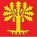 Flag of Roveredo