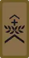 OR-5a - Sergeant