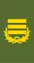 Colonel