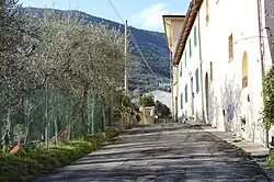 Colle