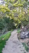 A dirt path