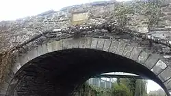 Callaghan Bridge