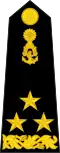 Vice Admiral