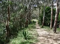Way to Zamurera