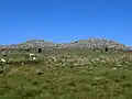 Camster Cairns.