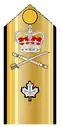 Shoulder boards for: short-sleeve shirt, tropical white tunic, summer white mess dress, 2C shipboard mess dress