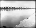 Alamo Canal c. 1903.