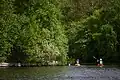 Canoeist in the Weerribben