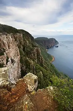 Dolerite columns of Cape Raoul