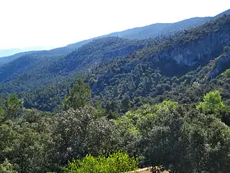 Vista del parc