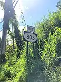 PR-164 east near the northern terminus of PR-803 in Palmarejo, Corozal