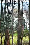 Overlook of churchyard