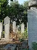 Cemetery across the street from the mosque on the north