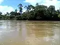 Kapuas River