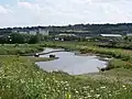 Floodplain wetland and sculpture at Centenary Riverside