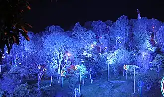 Nutibara during the Christmas lighting of Medellín