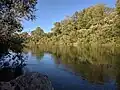 Cetina River at Sinjsko polje