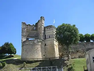 Ruins of the chateau