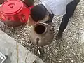 Burying rượu men lá in a jar underground