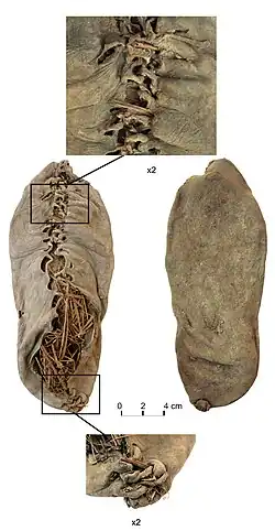 Several photos of a shoe