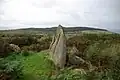 Machrie Moor 8