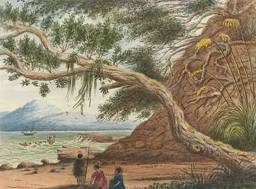 View near Auckland: Maori Warrior and Women (1860) Artist: Charles Emilius Gold