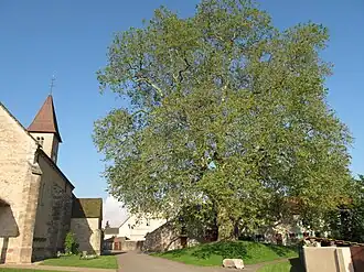 The church and surroundings in Préty