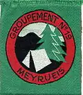 Insignia of CJF 19.