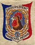 Insignia of CJF 1.