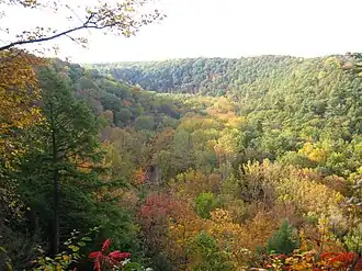Gorge in autumn