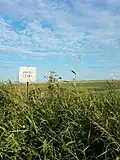 With the sign and same setting.