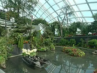 The Lost World
