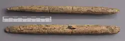 Replica of a Clovis beveled bone rod from the East Wenatchee site