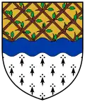 Coat of arms of Bagenalstown