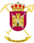 Coat of Arms of the 10th Engineer Battalion (BZAP-X)