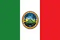 Flag of Santa María de Jesús