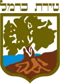Official logo of Tirat Carmel