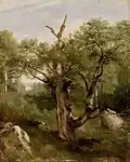 A study of a decaying tree