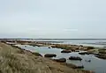 Colne Estuary